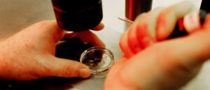 republican-gov-signs-law-protecting-ivf-after-landmark-ruling-declared-frozen-embryos-‘children’