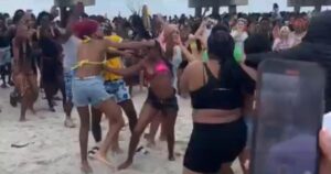 wigs-and-weaves-go-flying-in-wild-spring-break-brawl-in-florida-(video)