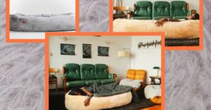 the-human-dog-bed-we-love-is-on-sale-right-now