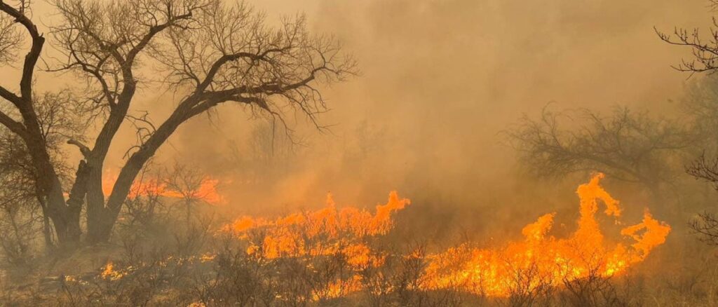 fact-check:-no,-80-percent-of-texas’-‘cattle-grazing-land’-was-not-destroyed-by-recent-fires