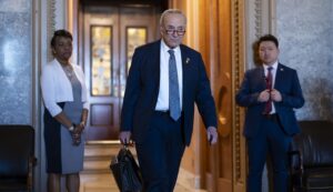 pro-israel-democrats-back-away-from-schumer’s-call-for-new-elections-–-washington-examiner