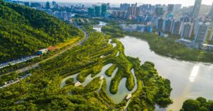the-designer-who’s-trying-to-transform-your-city-into-a-sponge