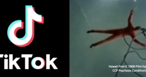 tiktok-is-a-tailored,-mass-psychosis-delivery-platform-|-the-gateway-pundit-|-by-john-mills