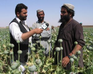 terrorism-and-drugs-in-the-us-homeland-|-the-gateway-pundit-|-by-antonio-graceffo
