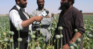 terrorism-and-drugs-in-the-us-homeland