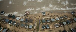 thousands-of-toxic-sea-creatures-wash-up-on-texas-coast