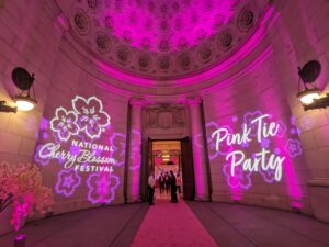 cherry-blossom-festival-incorporates-japanese-culture
