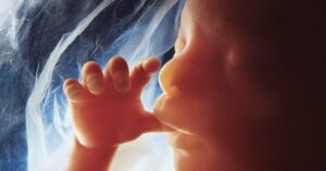 major-pbs-sponsor-funds-the-abortion-industry-and-big-media