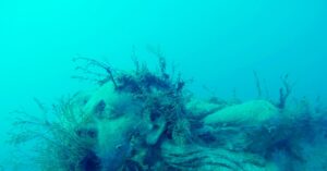 the-undersea-art-gallery-that-ensnares-illegal-trawlers