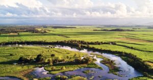 flooding-wetlands-could-be-the-next-big-carbon-capture-hack