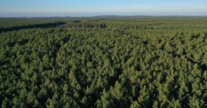 a-crypto-company-thinks-it-can-help-fight-climate-change