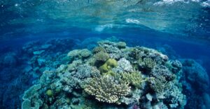 scientists-are-tinkering-with-clouds-to-save-the-great-barrier-reef
