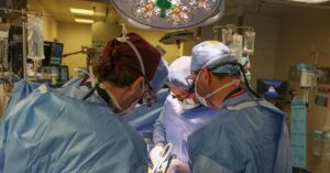 a-gene-edited-pig-kidney-was-just-transplanted-into-a-person-for-the-first-time