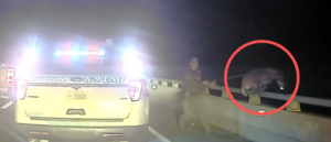 video-shows-police-officer-save-k9-from-certain-death