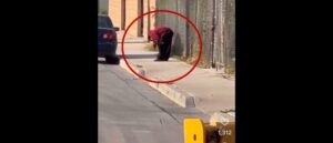 man-caught-eating-severed-human-leg-after-allegedly-swiping-it-from-train-accident,-video-shows