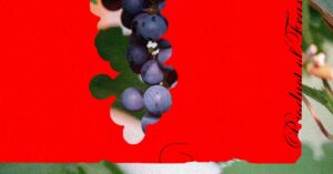 enjoy-your-favorite-wine-before-climate-change-destroys-it