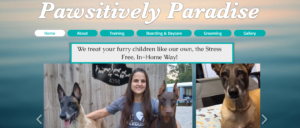 dogs-keep-dying-at-florida-grooming-business,-owners-say.-police-are-stepping-in