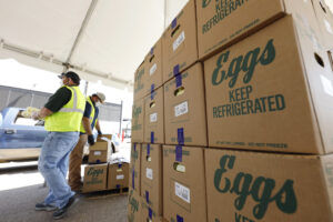 largest-us-fresh-egg-producer-finds-bird-flu-in-chickens-at-texas-plant-–-washington-examiner