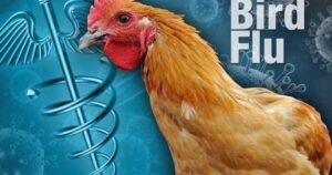 here-we-go:-scientists-warn-bird-flu-pandemic-could-be-‘100-times-worse’-than-covid-19