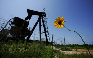 feds-give-pennsylvania-$244m-for-mine-land-problems-–-washington-examiner