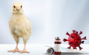 bird-flu-is-100-times-worse-than-covid?-fact-or-fiction?-|-the-gateway-pundit-|-by-promoted-post