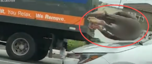 wild-video-shows-naked-man-hit-by-car-after-running-into-traffic