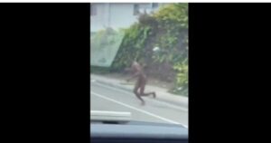 california-lunacy:-naked-man-streaks-across-traffic-and-gets-smacked-by-car-(video)