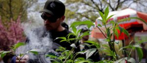 workers-discover-cannabis-grow-outside-wisconsin’s-capitol-building:-report