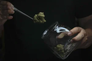 new-study-finds-that-cannabis-poisonings-among-senior-citizens-have-tripled-–-washington-examiner