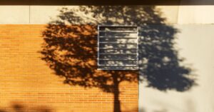 only-the-hardiest-trees-can-survive-today’s-urban-inferno