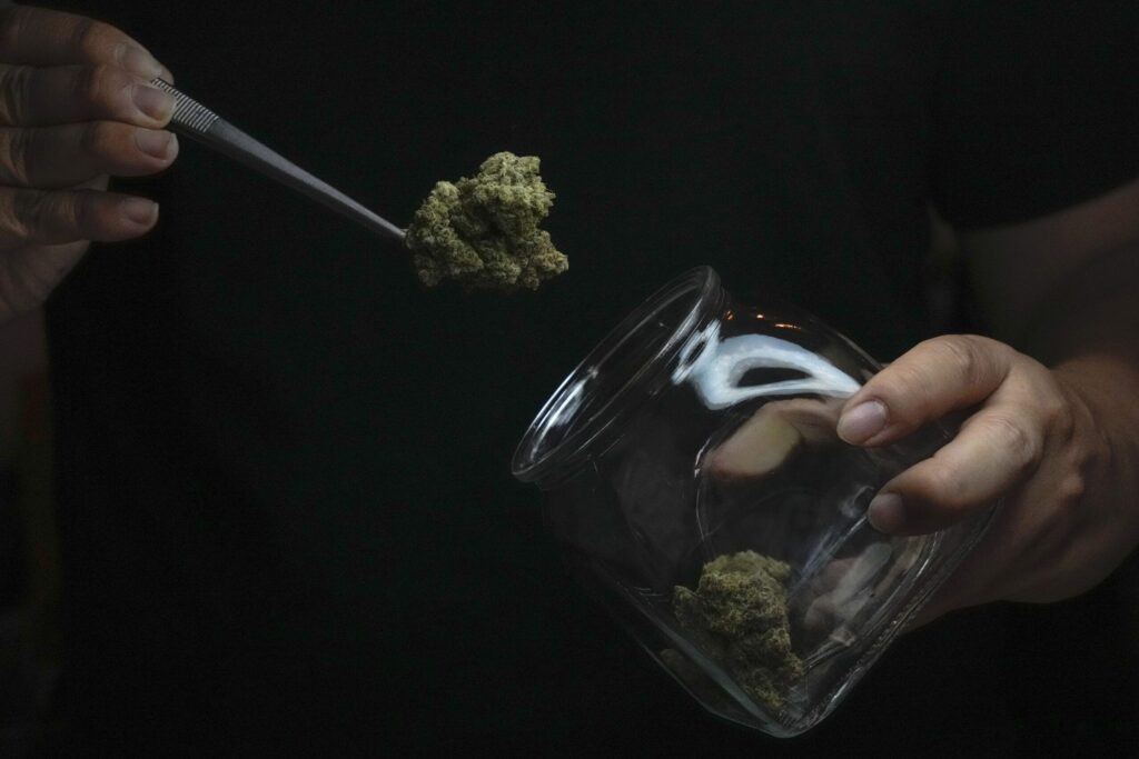 teens-who-use-marijuana-are-much-more-likely-to-develop-psychotic-disorders-–-washington-examiner