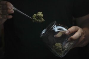 teens-who-use-marijuana-are-much-more-likely-to-develop-psychotic-disorders-–-washington-examiner