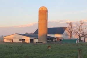 farm-bill’s-advance-carries-strength-for-$111b-industry-–-washington-examiner