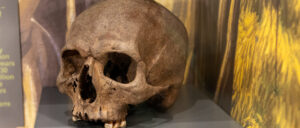 police-baffled-after-finding-human-skull-chained-to-exercise-equipment:-report