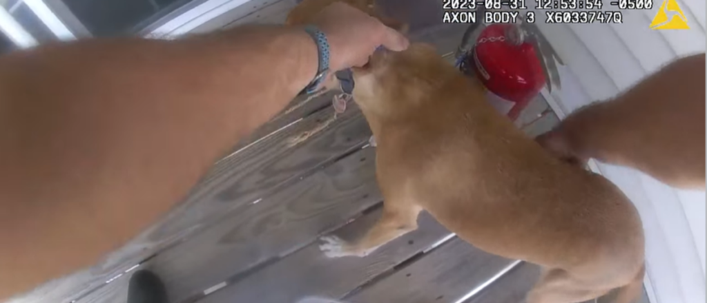 bodycam-captures-fast-acting-deputy-extinguish-apartment-fire,-rescue-owner’s-dog