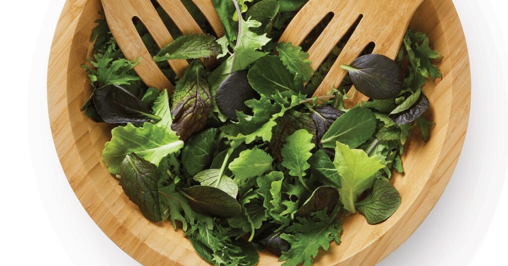 gene-edited-salad-greens-are-coming-to-us-stores-this-fall