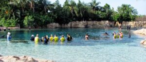 teen-dies-after-drowning-in-popular-theme-park’s-pool,-police-say