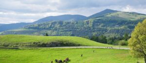 herb-baumeister’s-million-dollar-farm-hides-thousands-of-human-bodies,-auhtorities-say