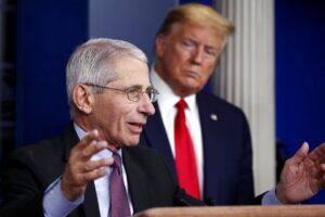how-fauci’s-return-affects-trump-and-biden-–-washington-examiner