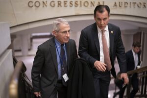 house-democrats-throw-cold-water-on-fauci-hearing-–-washington-examiner