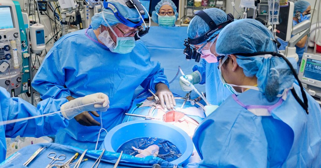 woman-who-received-pig-kidney-transplant-has-it-removed