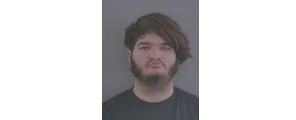 teen-charged-with-murder-after-alleged-sleepover-stabbing-spree:-report