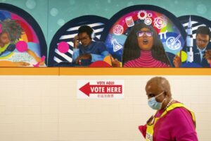 ‘elites’-don’t-want-you-to-vote-–-washington-examiner