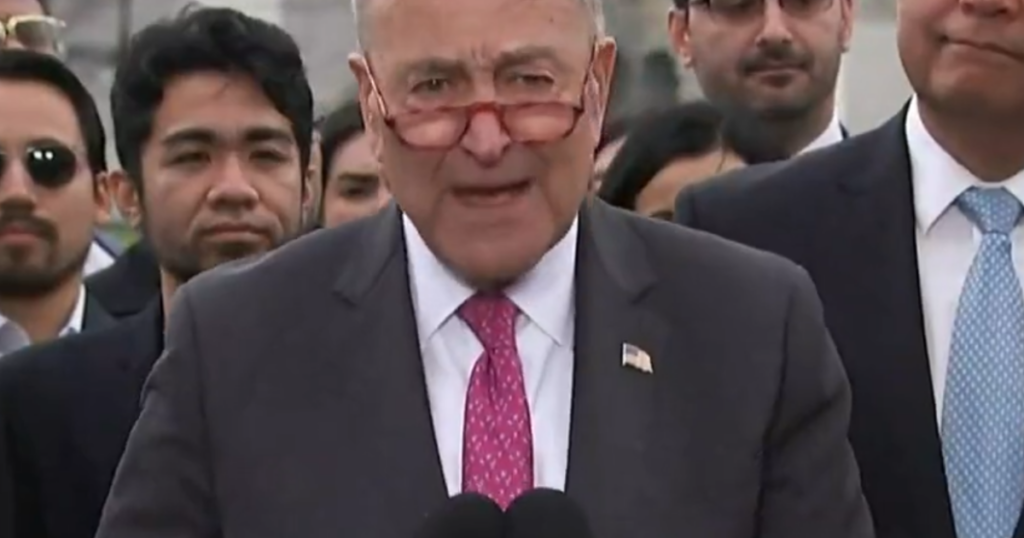 chuck-schumer-repeatedly-booed-while-speaking-at-israel-parade-in-nyc-(video)