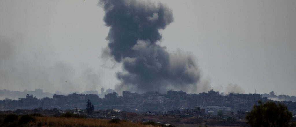 fact-check:-does-this-video-show-a-cat-in-rafah?