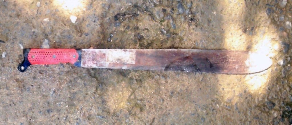 ‘i-tried-to-kill-him’:-naked-man-allegedly-sliced-off-victim’s-hand-with-machete