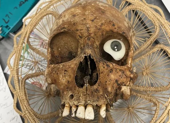 human-skull-found-in-arizona-goodwill-donation-box-|-the-gateway-pundit-|-by-cassandra-macdonald