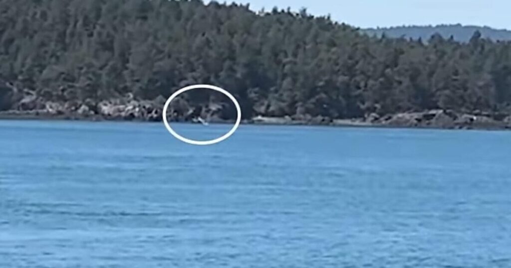 legendary-apollo-8-astronaut-william-anders-dies-in-plane-crash-at-90-(video)