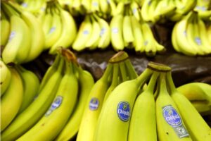 chiquita-banana-group-liable-in-death-of-eight-men-–-washington-examiner