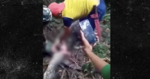 missing-mother-of-four-found-inside-belly-of-20-foot-python-–-after-being-swallowed-whole